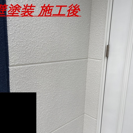 案件個別 (7)